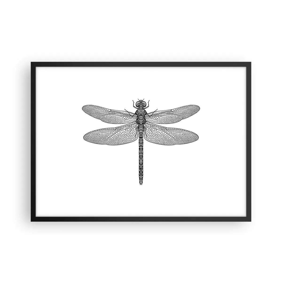 Affiche dans un cadre noir - Poster - Dessin noir et blanc d'une libellule sur fond blanc dans un style minimaliste - 70x50cm - Précision de la nature - Décoration murale moderne pour le salon et la chambre ARTTOR