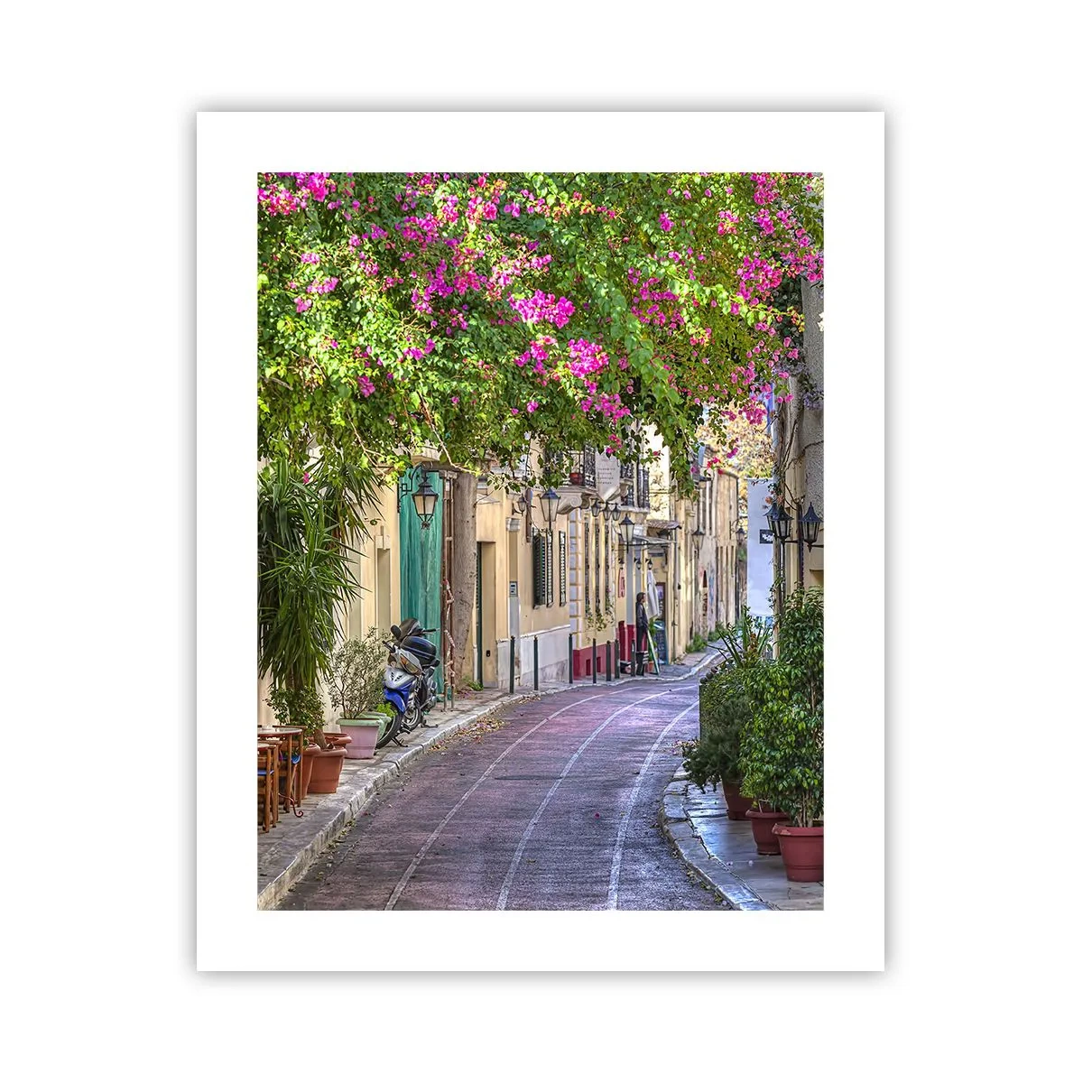 Affiche - Poster - Allée fleurie - 40x50 cm