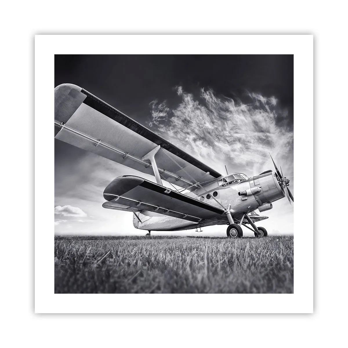 Affiche - Poster - Le pèlerin ailé - 50x50 cm