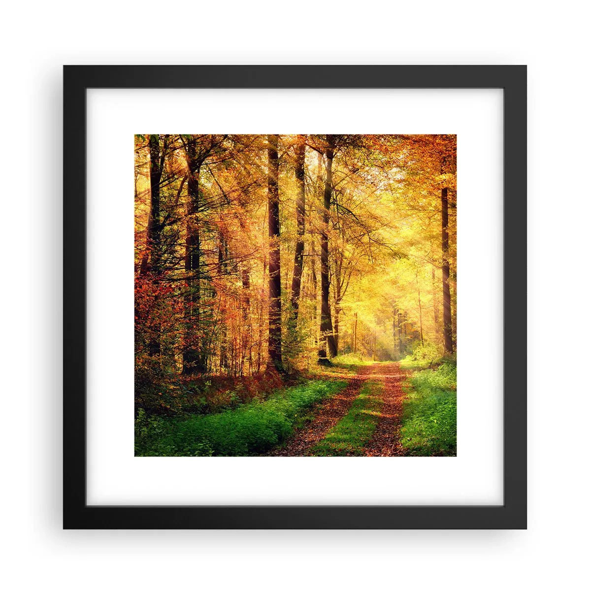 Affiche dans un cadre noir - Poster - Silence d'or en forêt - 30x30 cm