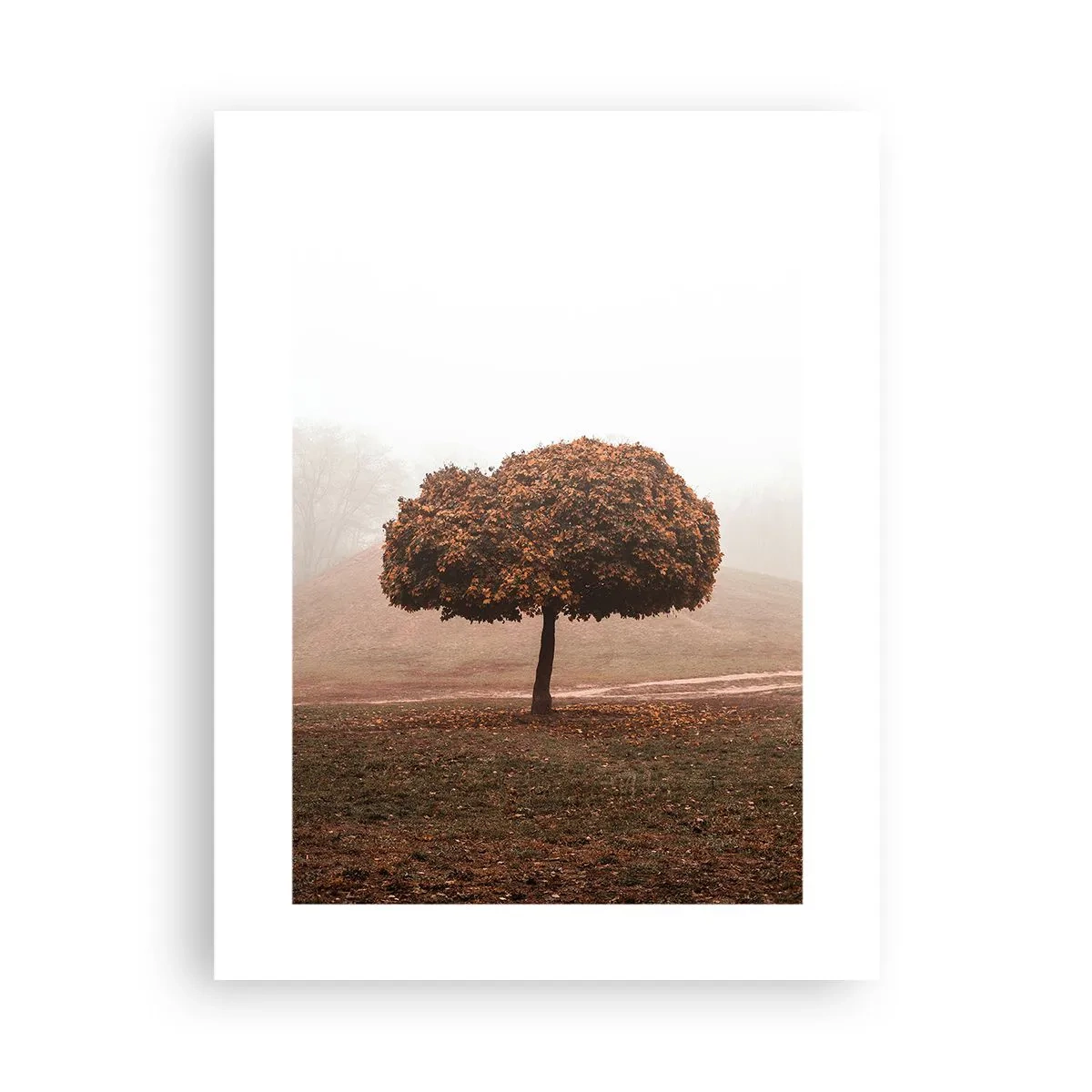 Affiche - Poster - Après un été chargé - 30x40 cm