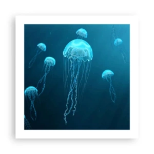 Affiche - Poster - Danse océanique - 50x50 cm