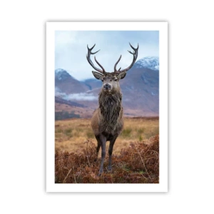 Affiche - Poster - Un cerf fier sur fond de montagne - 50x70cm - Sur son propre terrain - Décoration murale moderne pour le salon et la chambre ARTTOR