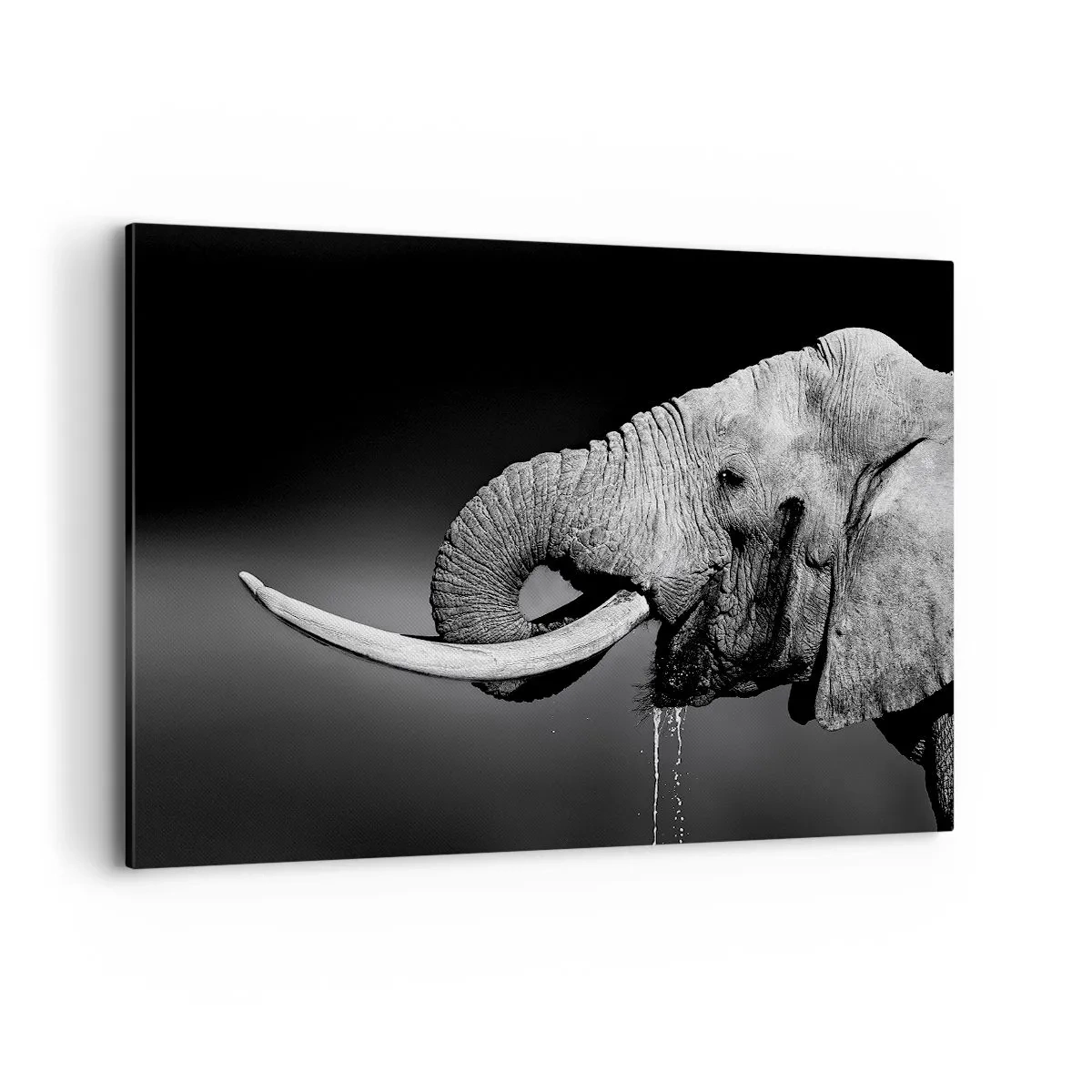 Impression sur toile - Image sur toile - Portrait noir et blanc d'un éléphant de profil - 120x80cm - Oui, c'est bon maintenant - Décoration murale moderne pour le salon et la chambre ARTTOR