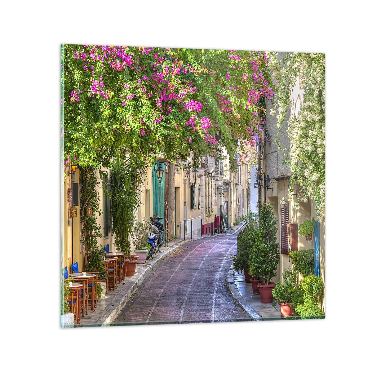 Impression sur verre - Image sur verre - Allée fleurie - 50x50 cm