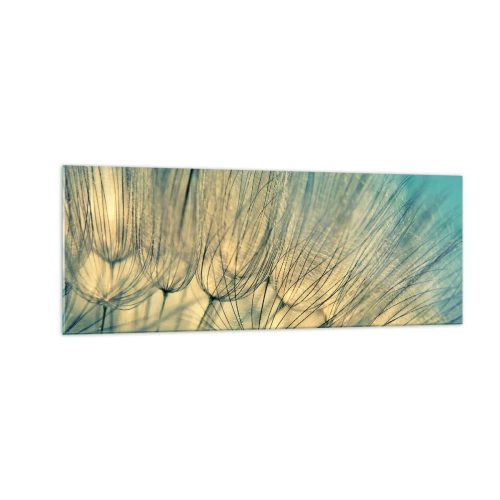 Impression sur verre - Image sur verre - Macrophotographie de pissenlits en plein jour - 140x50cm - En attente du vent - Décoration murale moderne pour le salon et la chambre ARTTOR