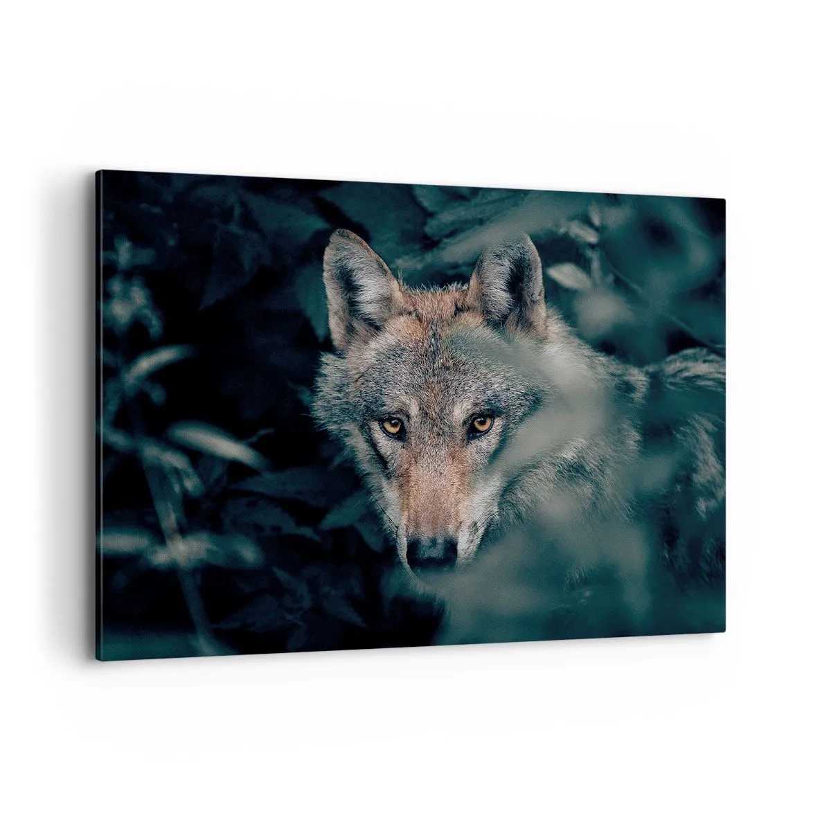 Impression sur toile - Image sur toile - Un loup dans son environnement naturel, regardant depuis les profondeurs de la forêt. - 100x70cm - Chasseur - Décoration murale moderne pour le salon et la chambre ARTTOR