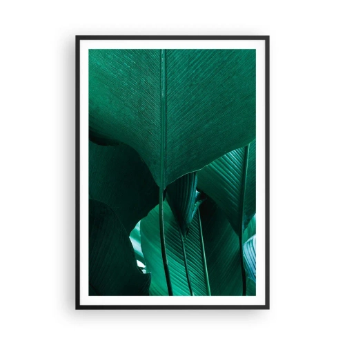 Affiche dans un cadre noir - Poster - Tourné vers la lumière - 70x100 cm