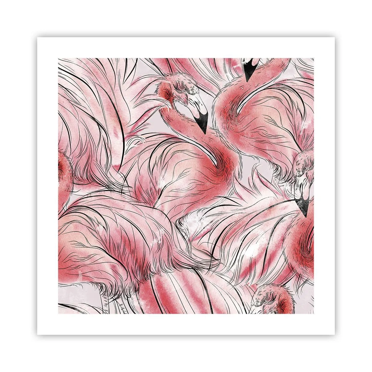 Affiche - Poster - Oiseau corps de ballet - 50x50 cm