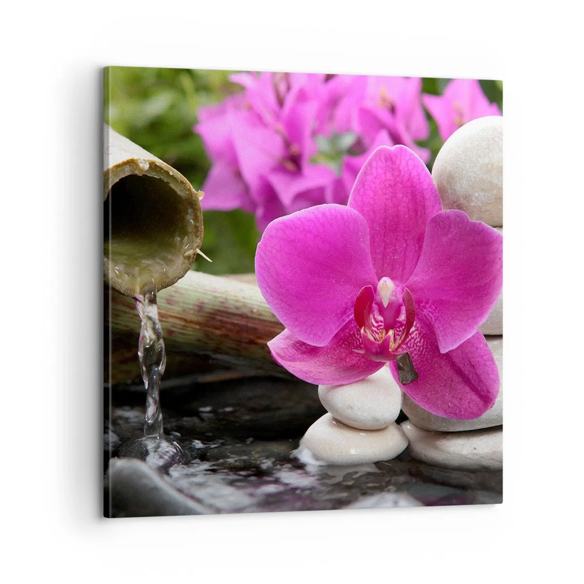 Impression sur toile - Image sur toile - Tu te reposes déjà - 60x60 cm