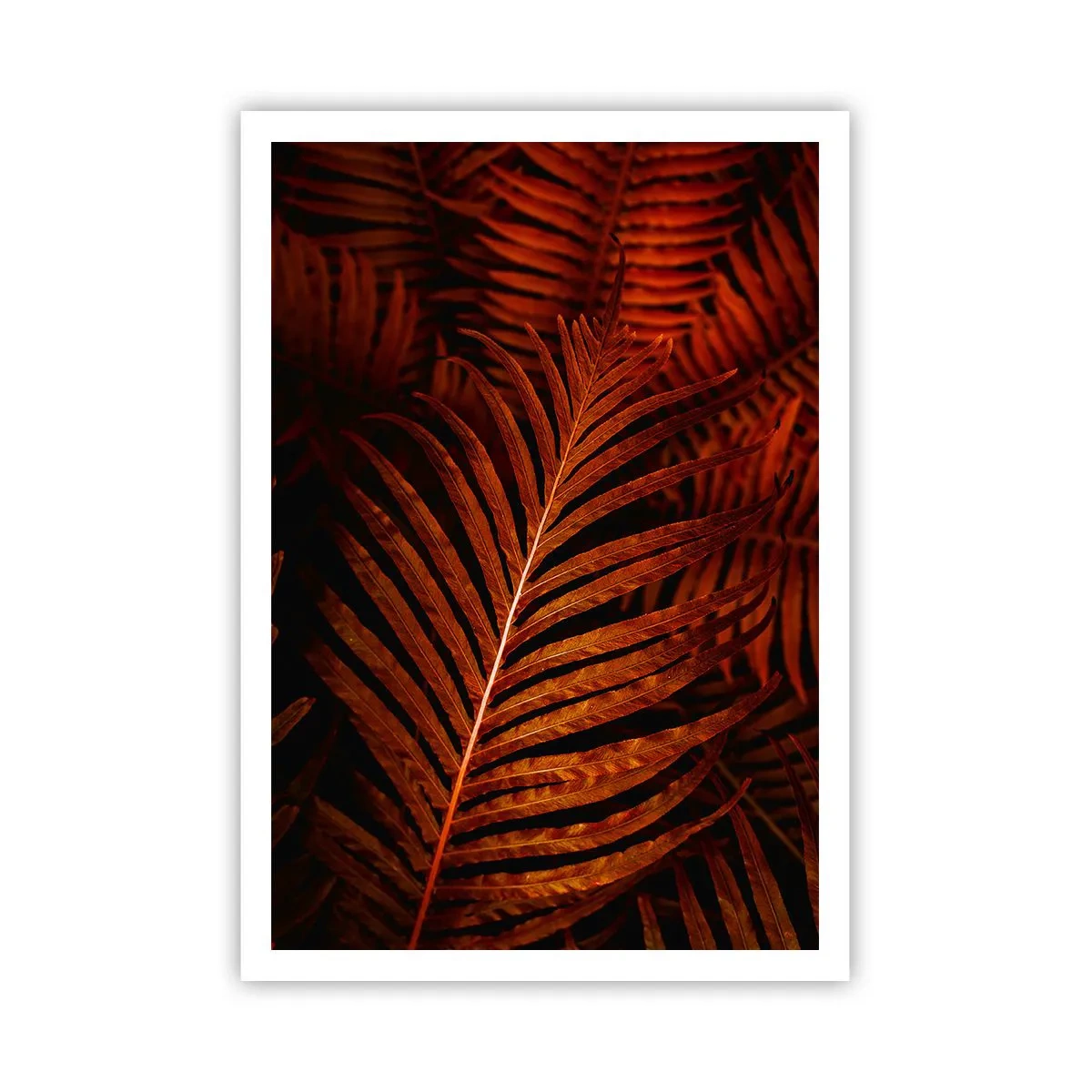 Affiche - Poster - Chaleur de la vie - 70x100 cm