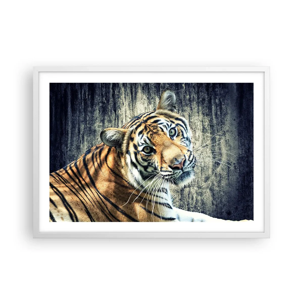 Affiche dans un cadre blanc - Poster - Portrait dans les flots de lumière - 70x50 cm