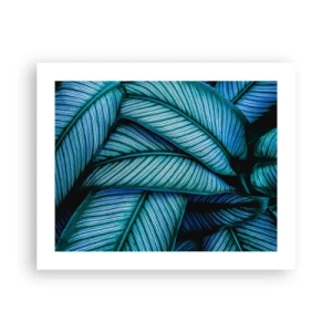 Affiche - Poster - Lignes de vie - 50x40 cm