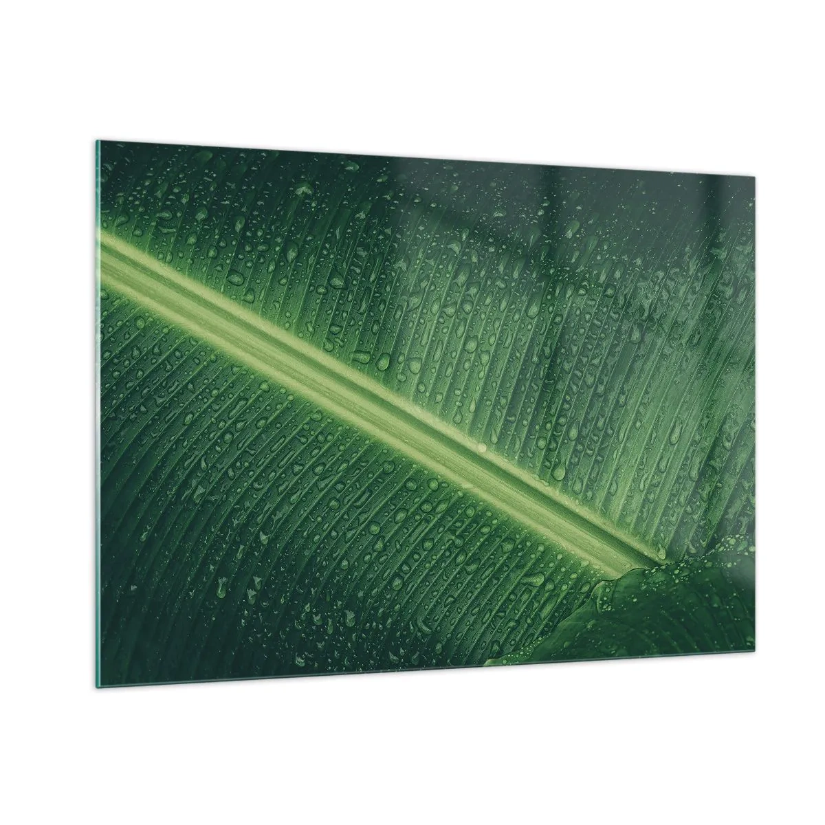 Impression sur verre - Image sur verre - Gros plan d'une feuille verte avec des gouttes d'eau - 100x70cm - Structure de vert - Décoration murale moderne pour le salon et la chambre ARTTOR