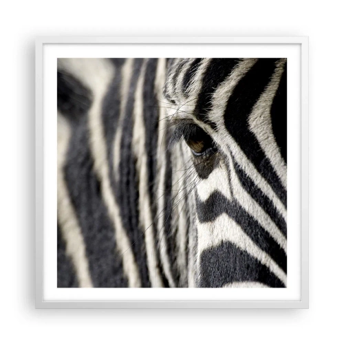 Affiche dans un cadre blanc - Poster - Portrait en rayure - 60x60 cm