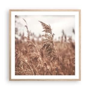 Affiche dans un chêne clair - Poster - C'est déjà l'automne dans les champs - 60x60 cm