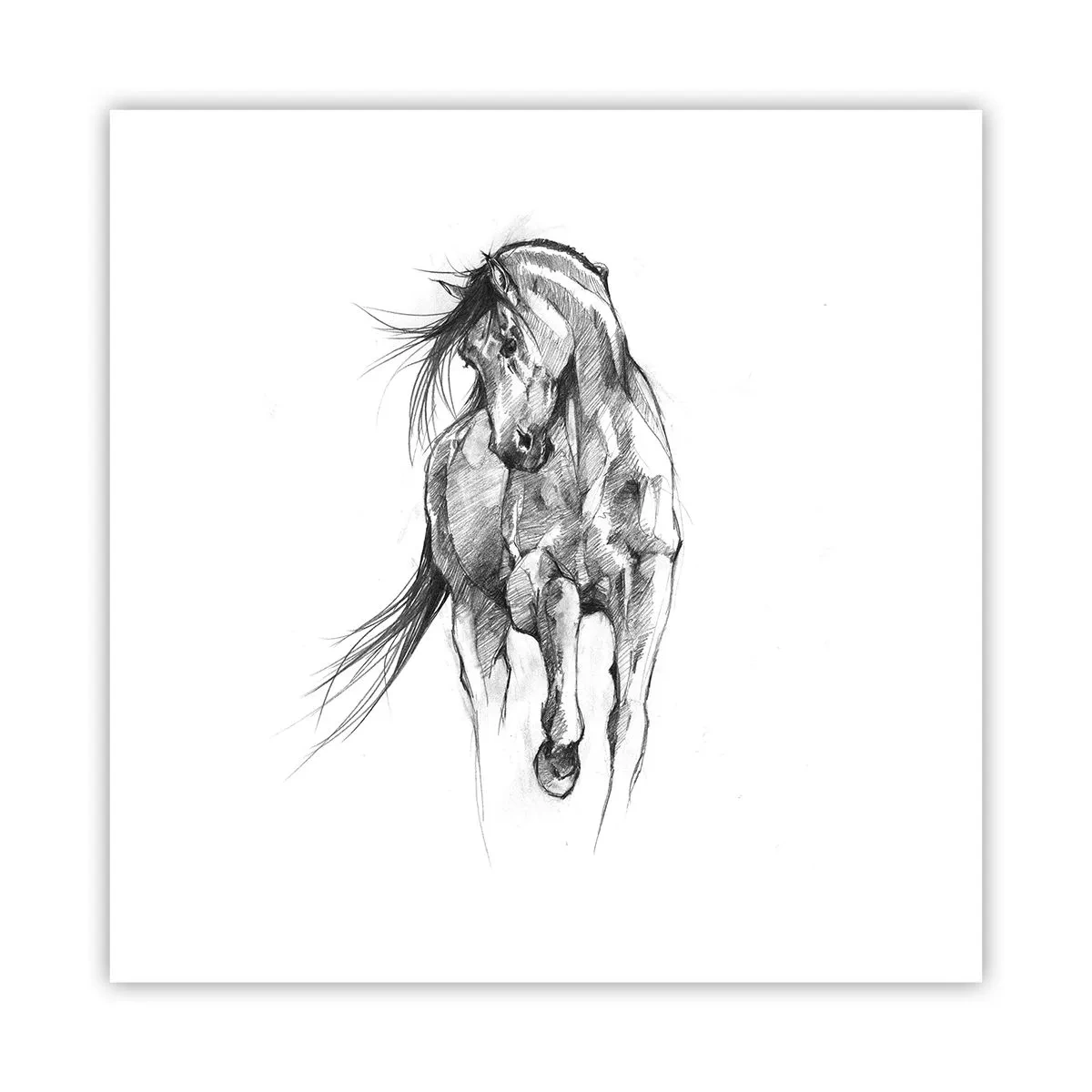Affiche - Poster - D'un trot gracieux - 40x40 cm