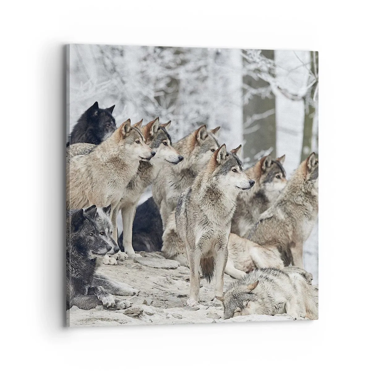 Impression sur toile - Image sur toile - Famille et amis - 70x70 cm