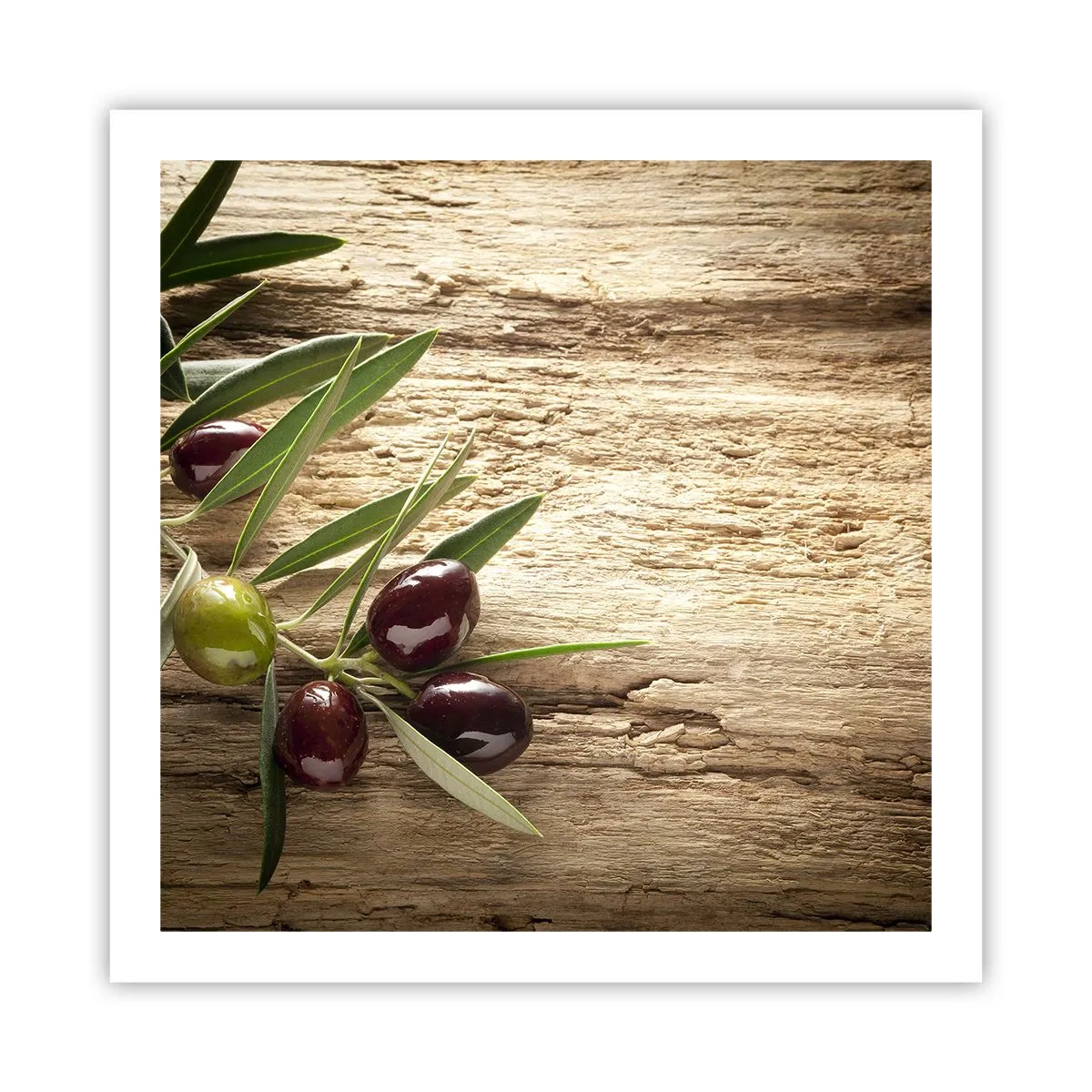 Affiche - Poster - Directement de la nature - 60x60 cm