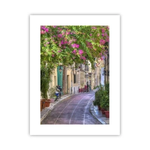 Affiche - Poster - Allée fleurie - 30x40 cm