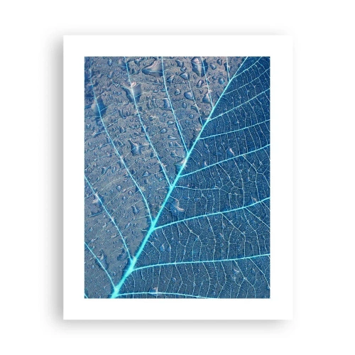 Affiche - Poster - La vie en bleu - 40x50 cm