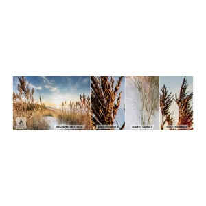 Échantillon de Papier Peint Autocollant Deluxe Sticker - Plage du nord - Paysage, Mer, Plage - 100x30 cm