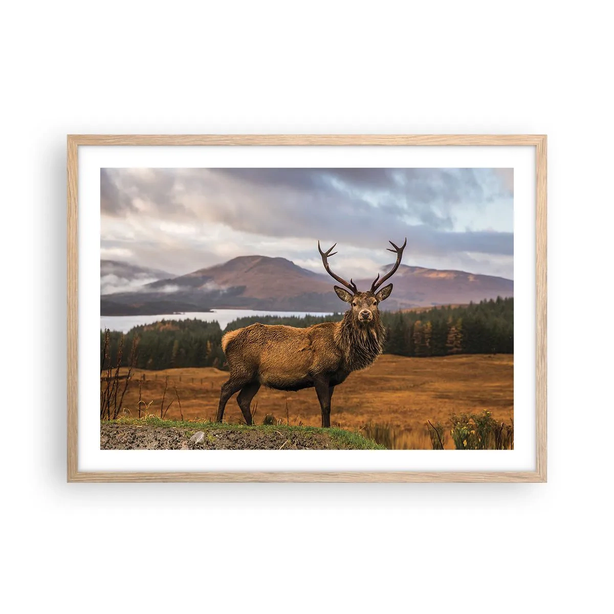 Affiche dans un chêne clair - Poster - Majesté de la nature - 70x50 cm