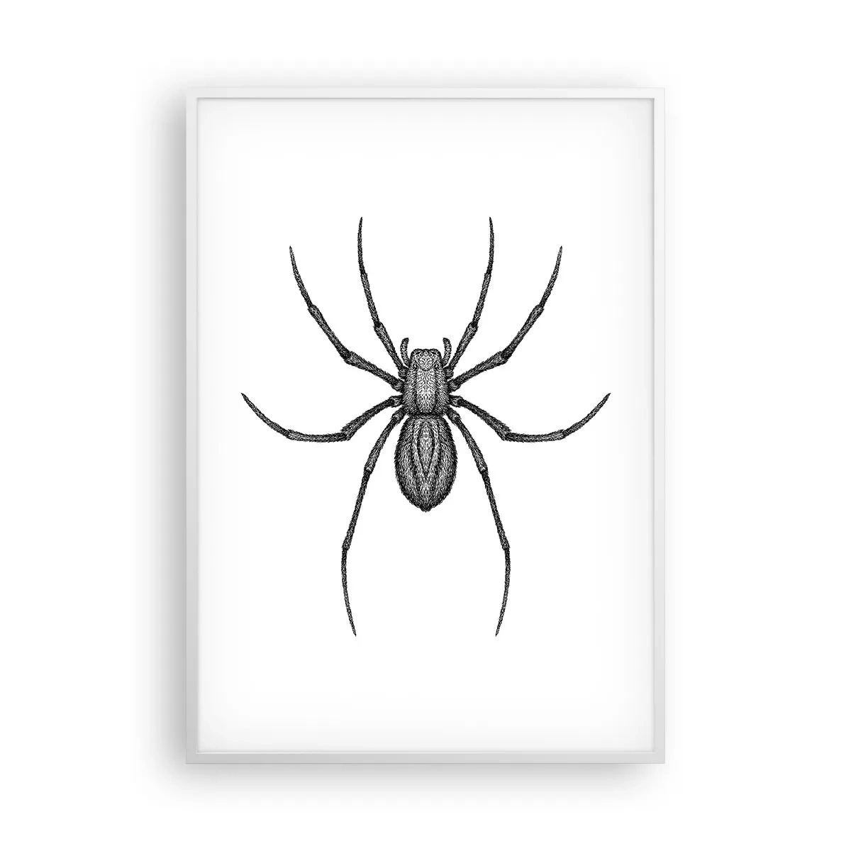 Affiche dans un cadre blanc - Poster - Une précision troublante - 70x100 cm