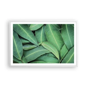 Affiche dans un cadre blanc - Poster - Juteux et frais - 91x61 cm