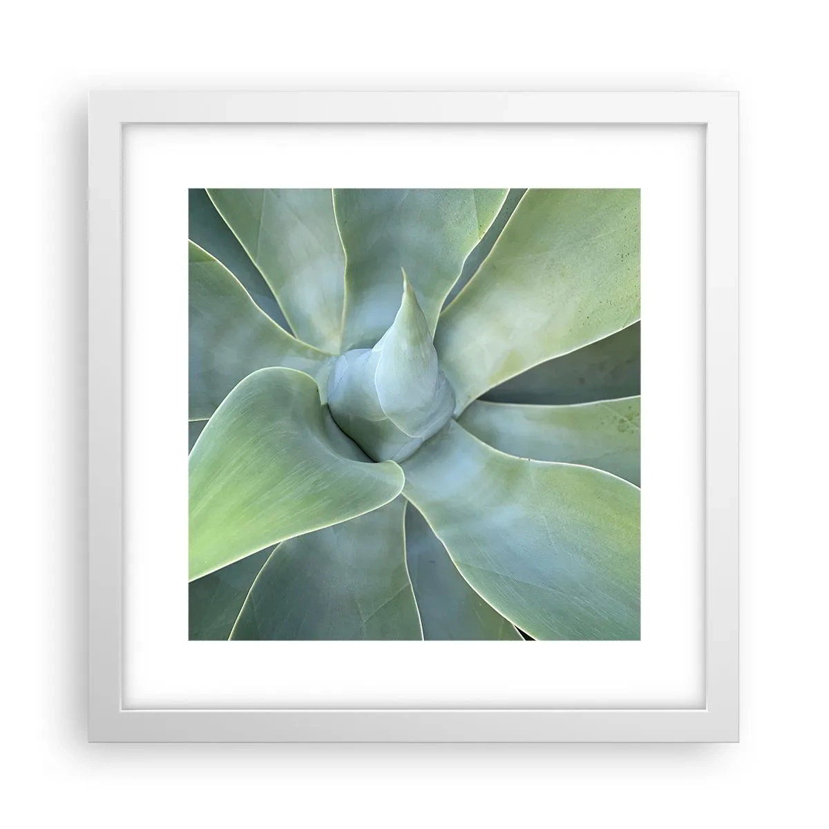 Affiche dans un cadre blanc - Poster - La naissance de la verdure - 30x30 cm