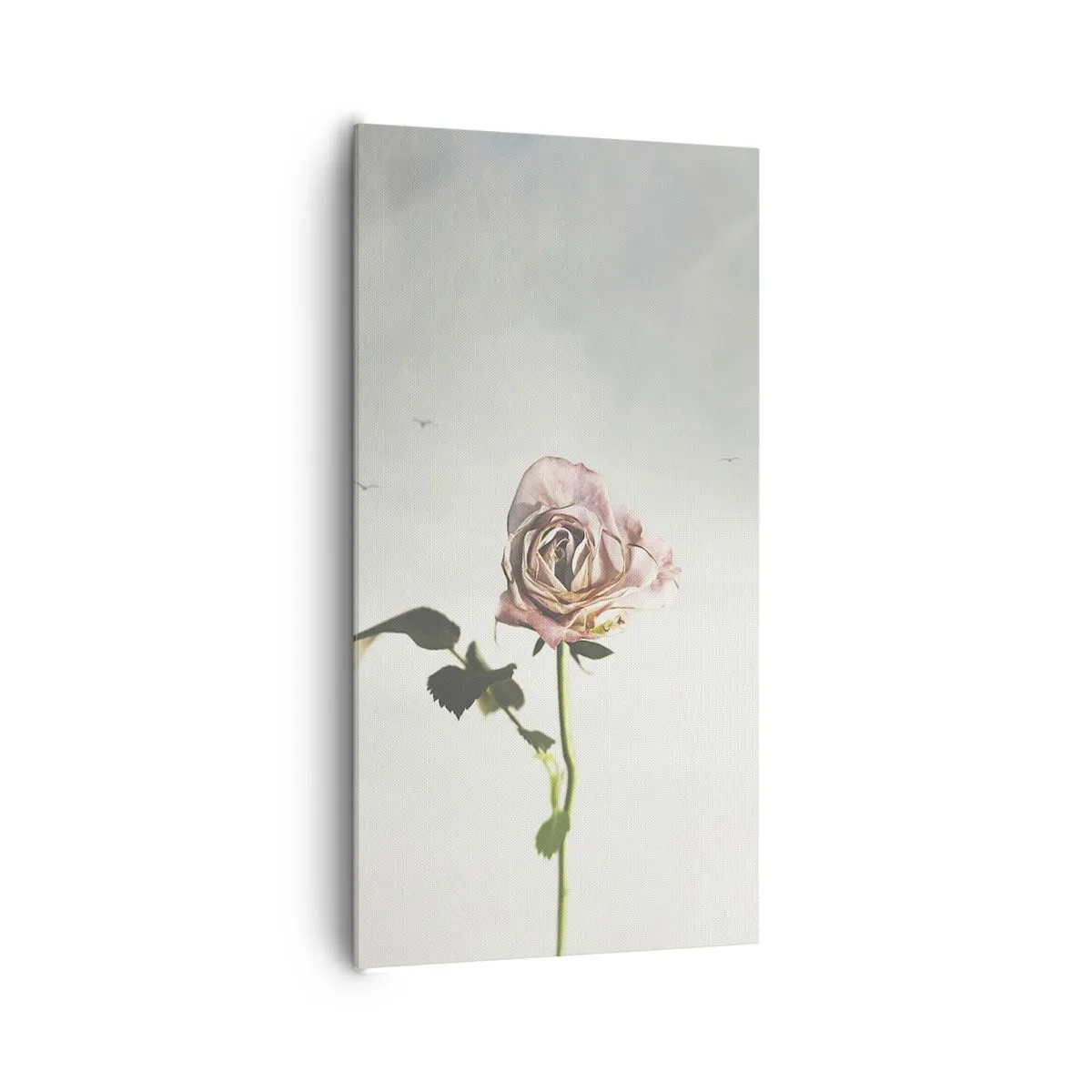 Impression sur toile - Image sur toile - Bonjour de printemps - 65x120 cm