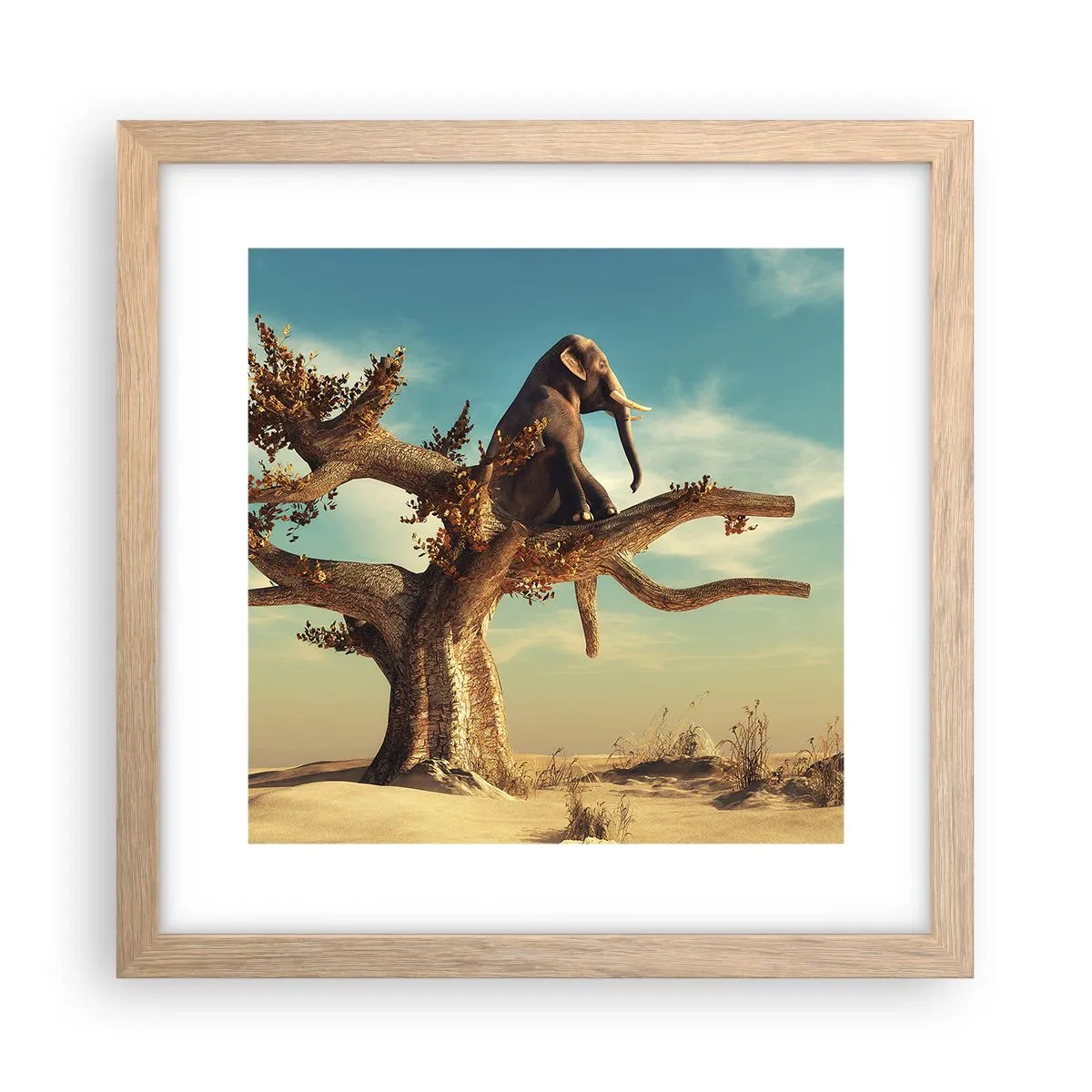 Affiche dans un chêne clair - Poster - Nouveau point de vue - 30x30 cm