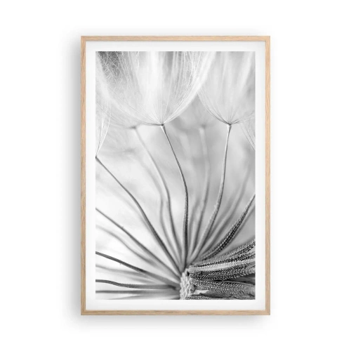 Affiche dans un chêne clair - Poster - Aigrette avant son envol - 61x91 cm