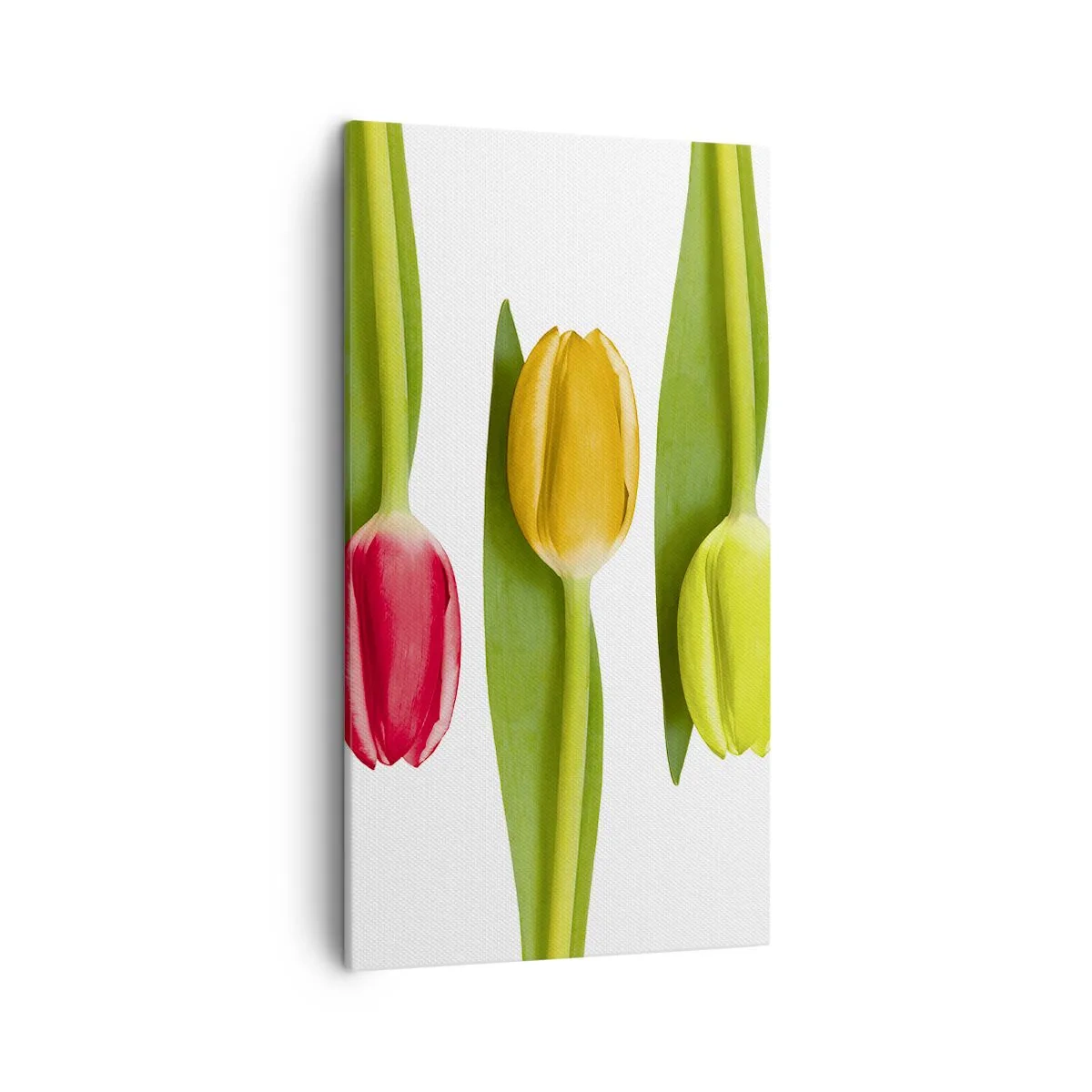 Impression sur toile - Image sur toile - Composition arc-en-ciel - 45x80 cm