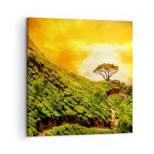Impression sur toile - Image sur toile - Un chemin sinueux, une pente verte - 50x50 cm