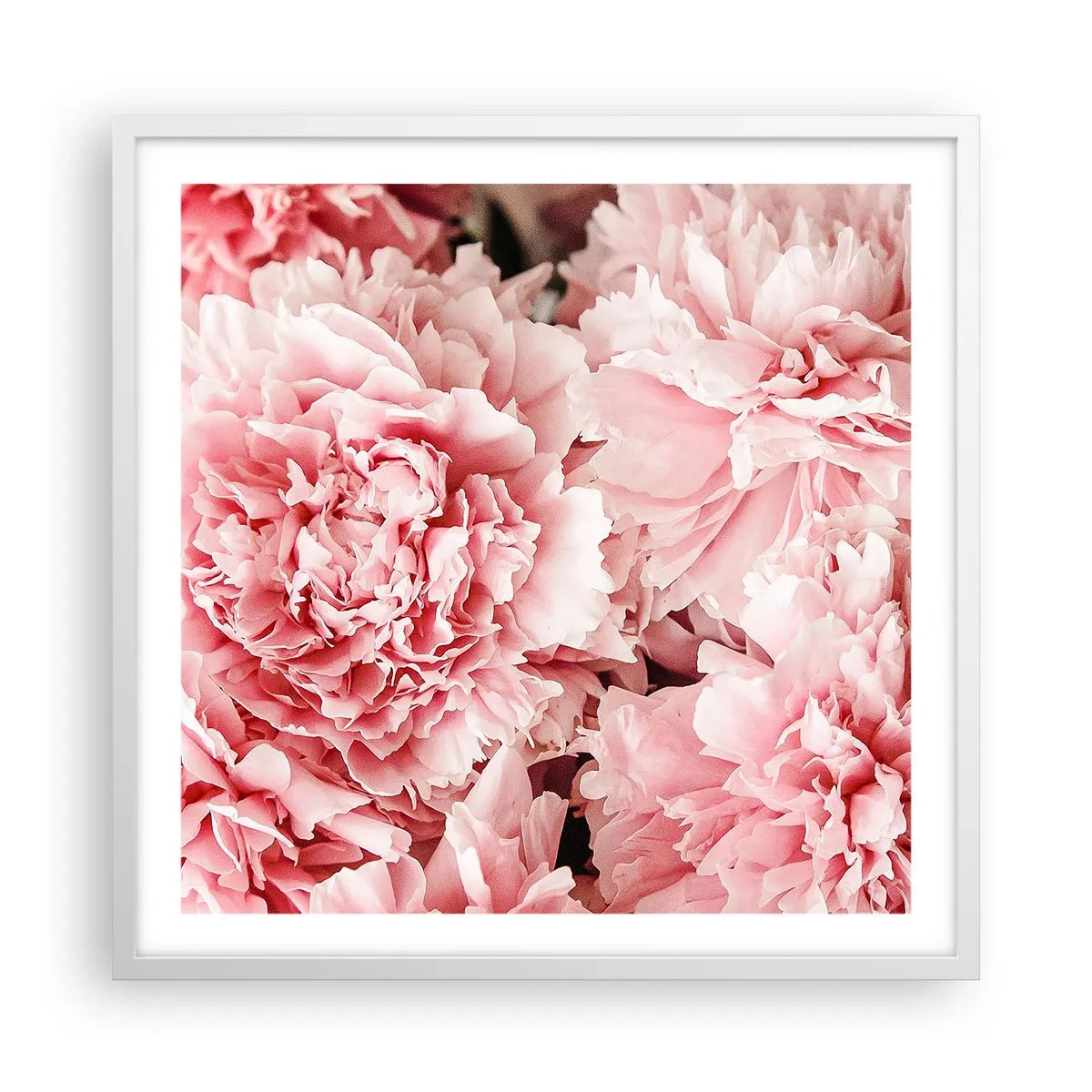 Affiche dans un cadre blanc - Poster - Rêve rose - 60x60 cm