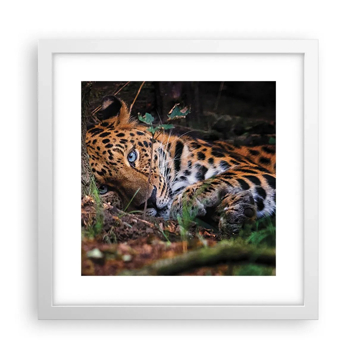 Affiche dans un cadre blanc - Poster - Fais-moi confiance - 30x30 cm