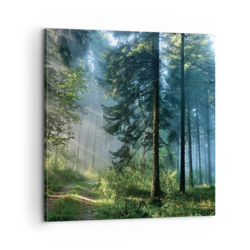 Impression sur toile - Image sur toile - Rayonnant le matin - 60x60 cm