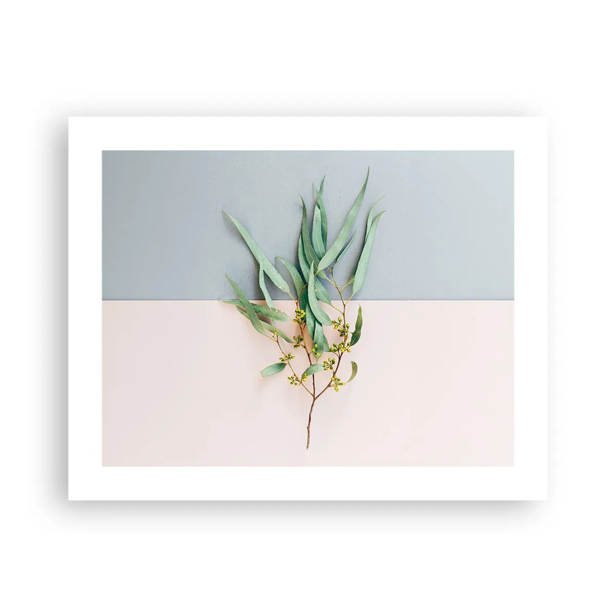 Affiche - Poster - Subtilité pastel - 50x40 cm