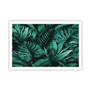 Affiche - Poster - Profondeur du vert tropical - 91x61 cm