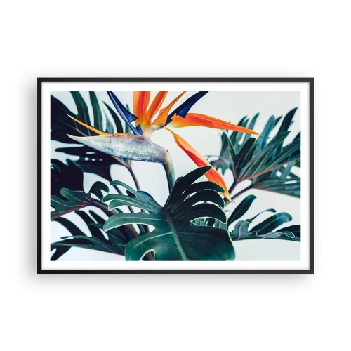 Affiche dans un cadre noir - Poster - Fleur de Strelitzia entourée de feuilles sous une lumière vive - 100x70cm - Le buisson oiseaux - Décoration murale moderne pour le salon et la chambre ARTTOR
