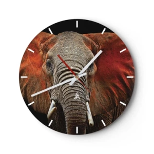 Horloge murale - Pendule murale - Gros plan d'un éléphant sur un fond sombre - 30x30cm - Je suis sauvage, et toi? - Décoration murale moderne pour le salon, la cuisine et la chambre ARTTOR