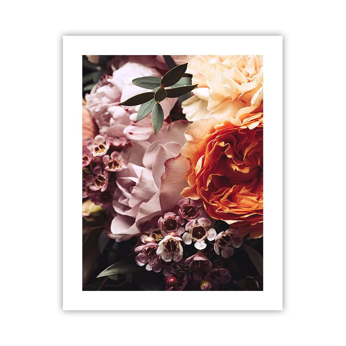Affiche - Poster - Enveloppé de beauté - 40x50 cm