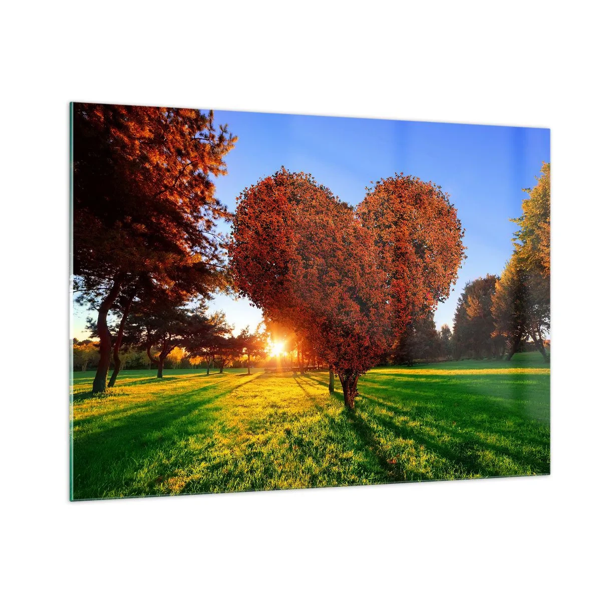 Impression sur verre - Image sur verre - Un arbre en forme de cœur sur fond de soleil couchant - 100x70cm - Et comment ne pas aimer tomber - Décoration murale moderne pour le salon et la chambre ARTTOR