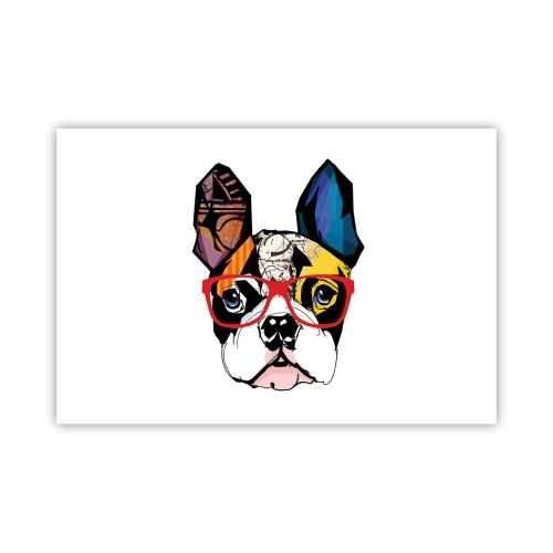 Affiche - Poster - Intellectuel - 91x61 cm