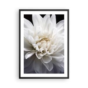 Affiche dans un cadre noir - Poster - Gros plan d'un dahlia blanc sur un fond sombre - 50x70cm - Le matin de la jeune mariéé - Décoration murale moderne pour le salon et la chambre ARTTOR