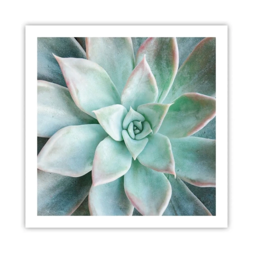 Affiche - Poster - Le coeur du désert - 60x60 cm