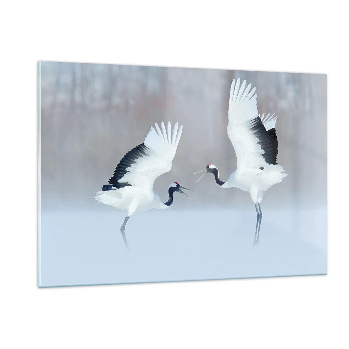 Impression sur verre - Image sur verre - Grues dansantes sur fond de paysage hivernal - 120x80cm - Danse dans le brouillard - Décoration murale moderne pour le salon et la chambre ARTTOR