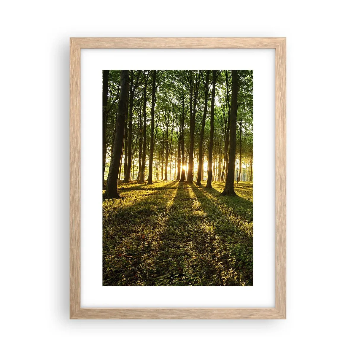 Affiche dans un chêne clair - Poster - Toutes les photographies de printemps - 30x40 cm