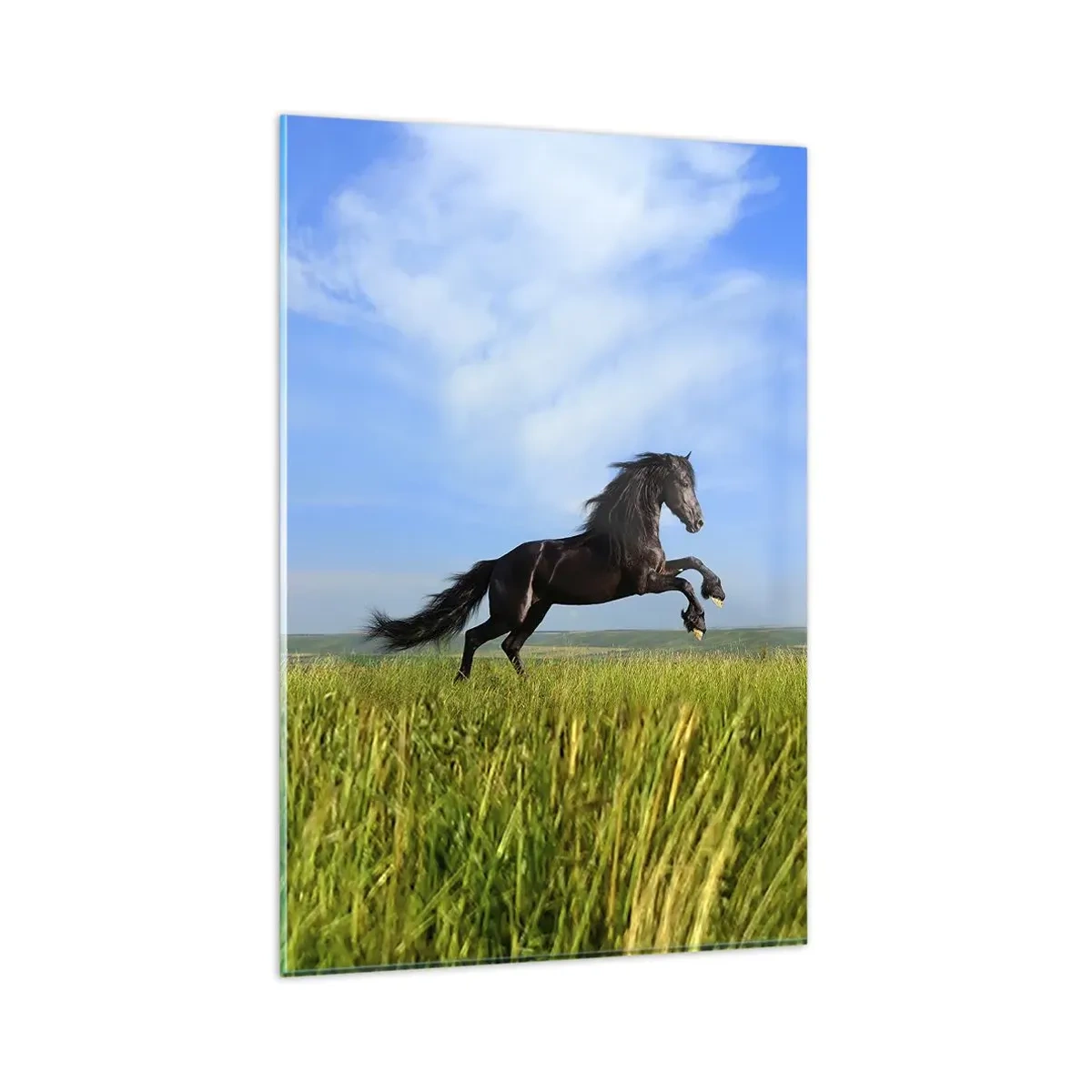 Impression sur verre - Image sur verre - Un cheval noir courant contre un ciel bleu et une prairie verte - 80x120cm - Un manifeste de liberté passionnant - Décoration murale moderne pour le salon et la chambre ARTTOR